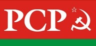 pcp-logo (2)